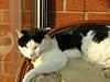 DSCF0660.jpg