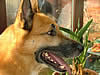 DSCF0663.jpg
