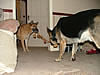 DSCF0682.jpg