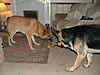 DSCF0689.jpg