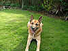 dscf0107.jpg