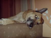 DSC00184.jpg