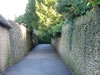 DSCF0705.jpg