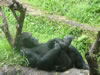 dscf0246.jpg