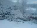 DSC00002-snow.jpg