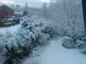 DSC00003-snow.jpg