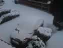 DSC00004-snow.jpg