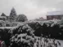 DSC00005-snow.jpg