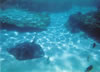 underwater4.jpg