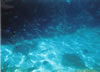 underwater5.jpg