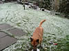 DSCF0310.jpg