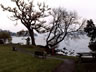 lake_windermere_2.jpg