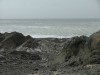 DSCF0541.jpg