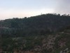 hills6.jpg