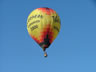 Balloon over Silver Birch